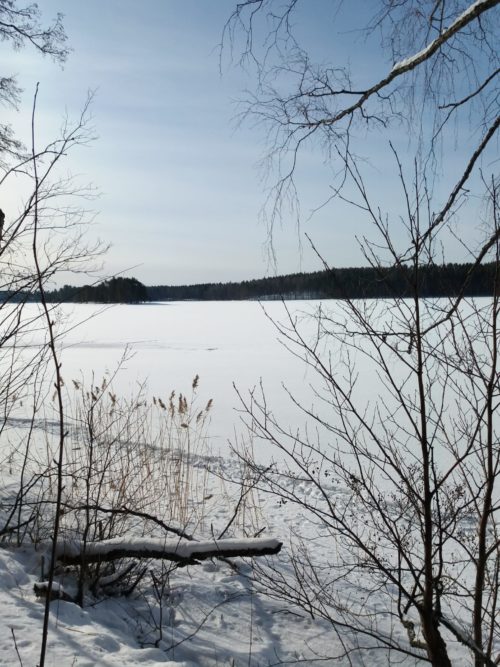 Keväinen maisema. Järvi on lumen peitossa. Taivas on sininen.