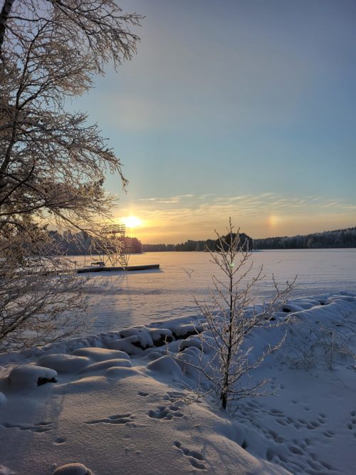 Järven ranta talvella. Järvi on jäätynyt, aurinko laskee puiden taa.