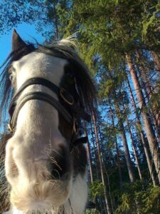 Iso hepan turpa ihan lähellä kameraa.