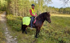 Ruskea hevonen maastossa.