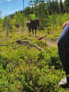 Ratsastajia maastossa.