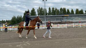 Tyttö taluttaa hevosta, jolla mies ratsastaa.