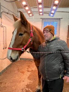 Mies seisoo hevosen kanssa tallissa.