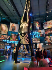 Luurangoksi pukeutunut mies seisoo käsillään.