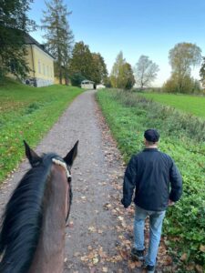 Mies kävelee hevosen kanssa hiekkatiellä.