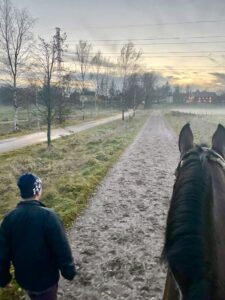 Mies ja hevonen kävelevät hiekkatiellä.