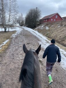 Mies taluttaa hevosta hiekkatiellä.