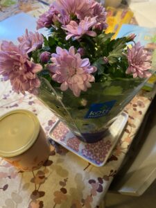 Vaaleanpunainen krysanteemi.