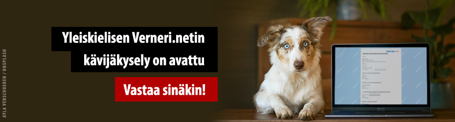 Teksti: Yleiskielisen Verneri.netin kävijäkysely on avattu. Vastaa sinäkin!